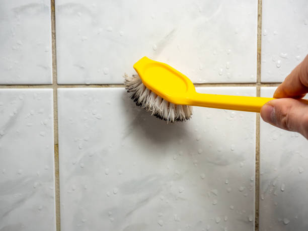 Best Residential Mold Remediation in Itasca, IL