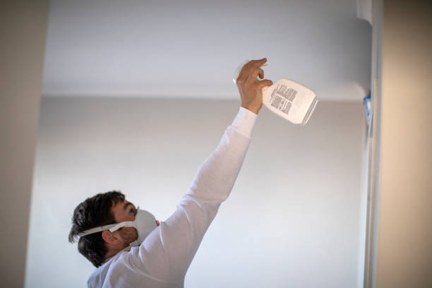 Professional Mold Remediation in Itasca, IL