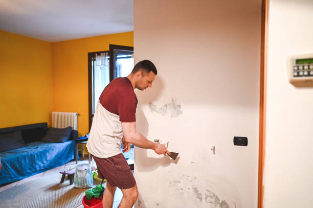 Best Mold Testing and Inspection Services in Itasca, IL